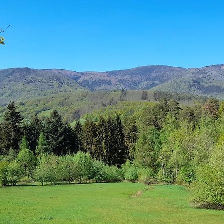 Ville Centre - Gite Le Villois - Au Coeur De L'Alsace Екстериор снимка