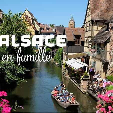 Ville Centre - Gite Le Villois - Au Coeur De L'Alsace Екстериор снимка