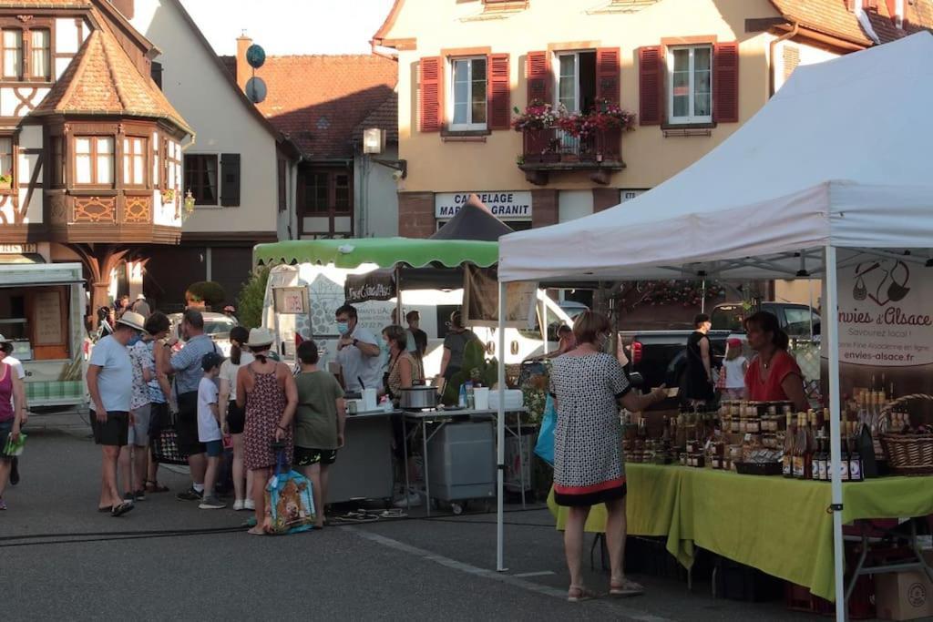 Ville Centre - Gite Le Villois - Au Coeur De L'Alsace Екстериор снимка