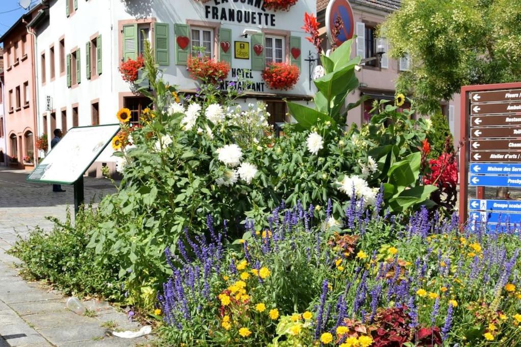 Ville Centre - Gite Le Villois - Au Coeur De L'Alsace Екстериор снимка