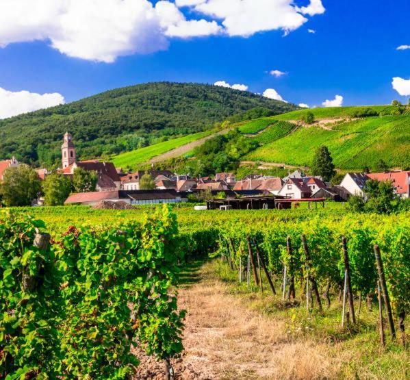 Ville Centre - Gite Le Villois - Au Coeur De L'Alsace Екстериор снимка